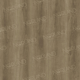 Виниловый ламинат Alpine Floor ALTAELVA 2001-3