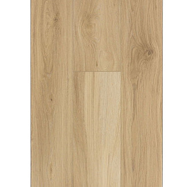 Виниловый ламинат Firstfloor Весенний дымчатый дуб