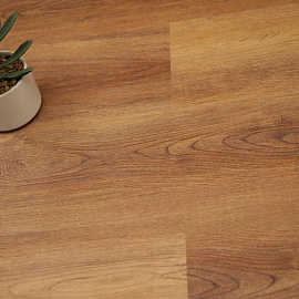 Виниловый ламинат Evofloor Дуб Янтарный