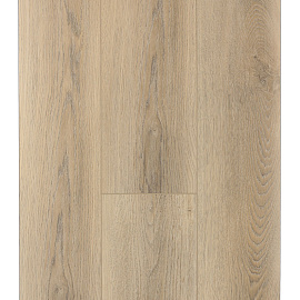 Ламинат SPC Firstfloor Белый дикий лес