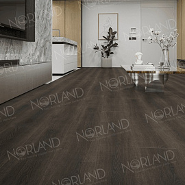 Виниловый ламинат Alpine Floor TANAELVA 2001-2